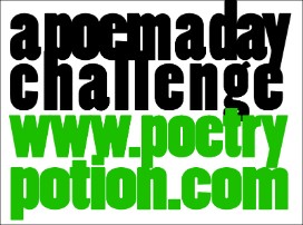 A Poem A Day Challenge